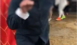 临沂拉面哥最新爆料,揭秘拉面行业背后真相