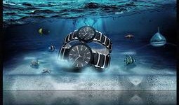 放射海在线观看,放射海在线观看之旅